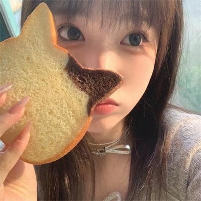 拳脚之路